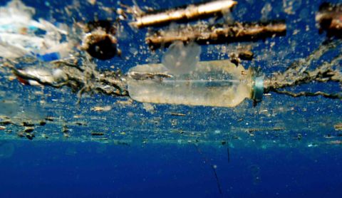A fish's view of the natural world in 2018? Throughout the year, we reported how synthetic textiles and plastics were capturing global attention for all the wrong reasons. Industry's response in 2019 will be crucial.